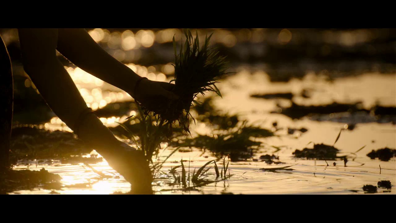 Madhagaja (2021) WEB-DL Hindi 720p AVC DDP 5.1.mkv.0000